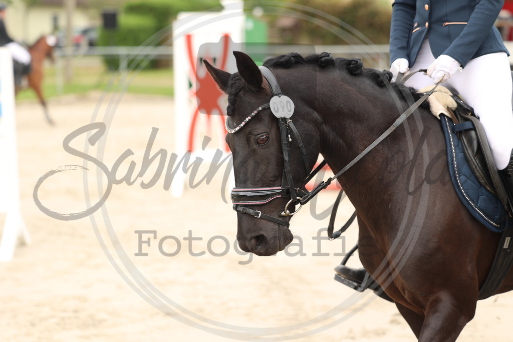 994A8821 | sabrinanicolaifotografie - Realisiert mit Pictrs.com