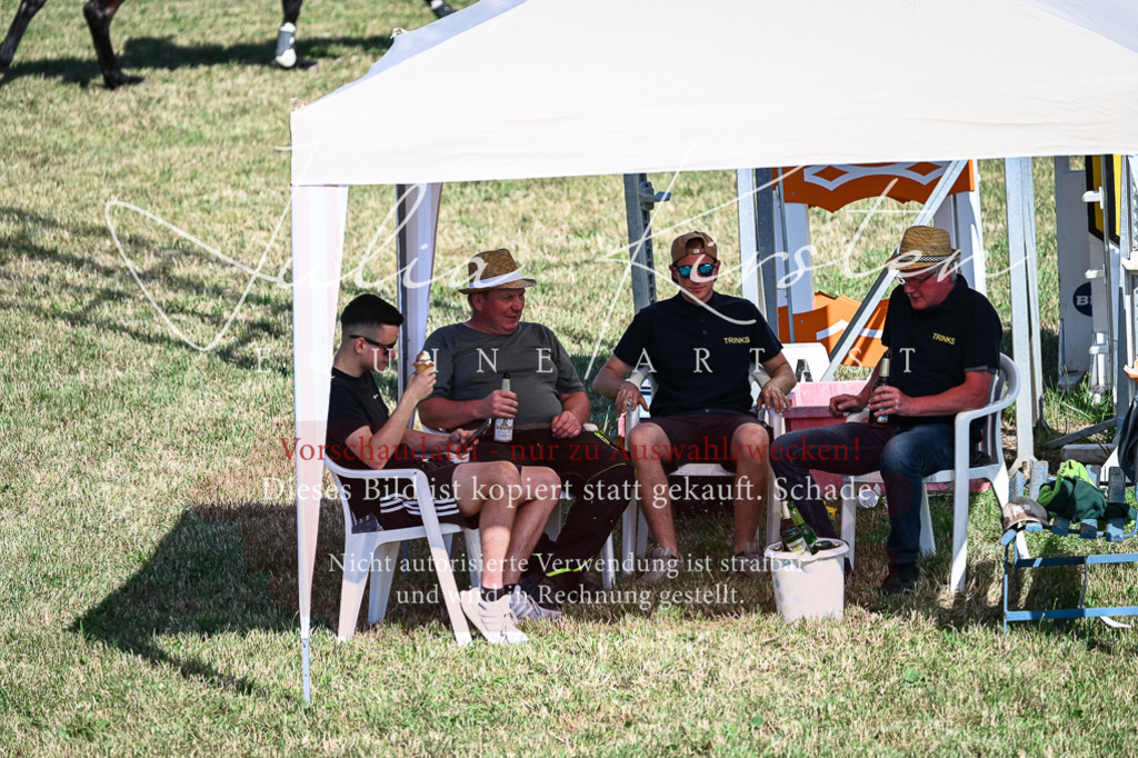 DSC_1988 | Pferde- und Turnierfotografie in Westsachsen. Pferdeportraits, Auftragszeichnungen und intuitive Kunst.