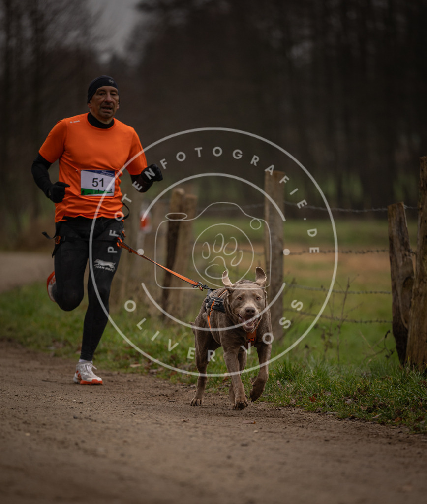 Pfotenfotografie_DV3A2867 | Hundefotografie, Tierfotograf, Pfotenfotografie, Fotoshooting Hund, Hunde Portrait, Hundesport, Hundeportraits, Heideshooting, Hunde, Sportfotograf, Hundefotograf, Turnierhundsport, THS,  - Realisiert mit Pictrs.com