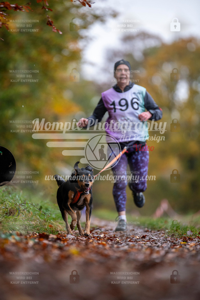 DBT_DAKM_SA_4_11_2023_Canicross-106 | PayLife