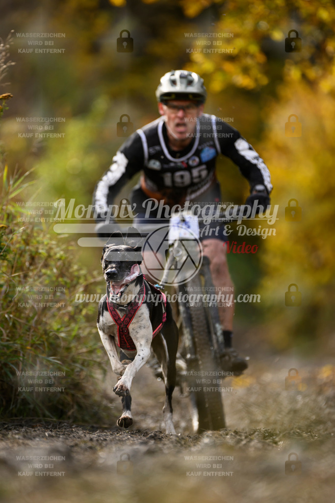 MompixPhotography_ICF_WC_2024_SA_Bike_-308 | PayLife