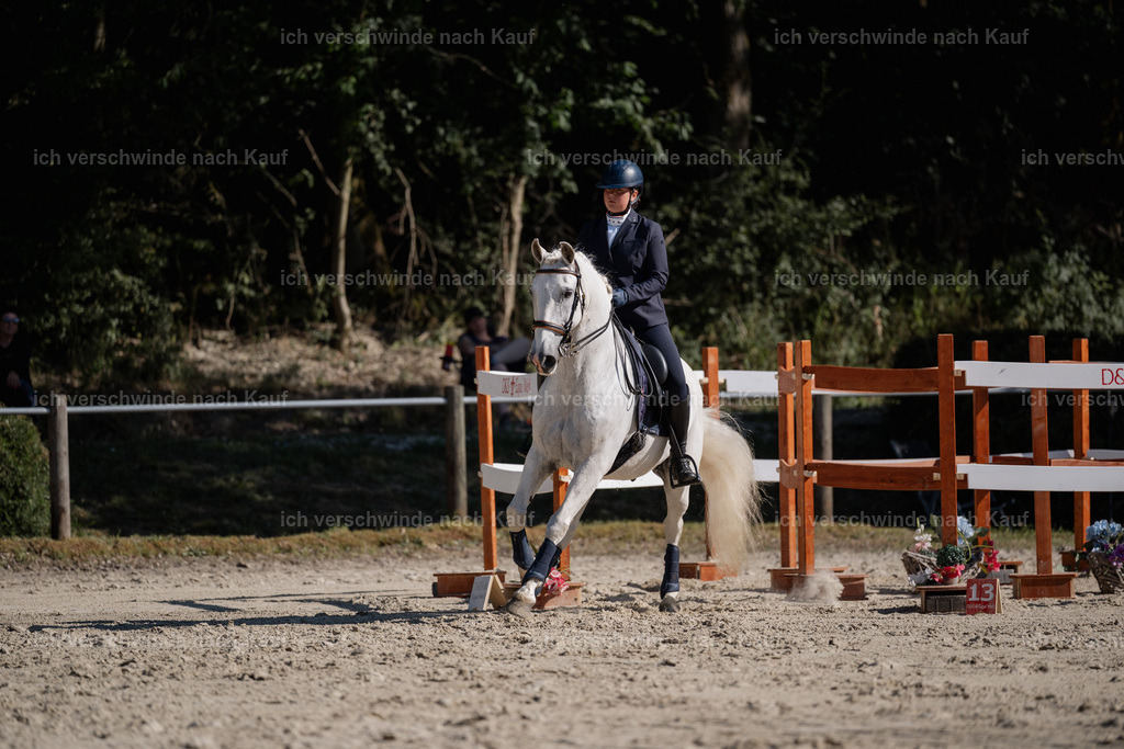 WM_ST_142_stoibphotography__SO12207 | working equitationturnier fotograf videograf stoibphotography marixx film working equitation deutschland reitsport turnierfotografie eventfotografie equestrian events