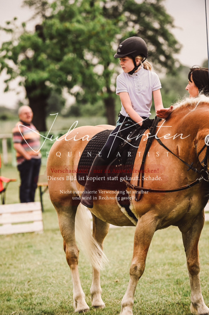 DSC_5202 | Pferde- und Turnierfotografie in Westsachsen. Pferdeportraits, Auftragszeichnungen und intuitive Kunst.