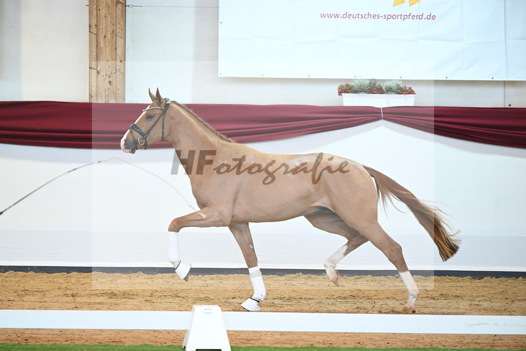 Kat-Nr. 33 v. Fuerst Samarant_Berger_66220376 | hf-fotografie - Realisiert mit Pictrs.com