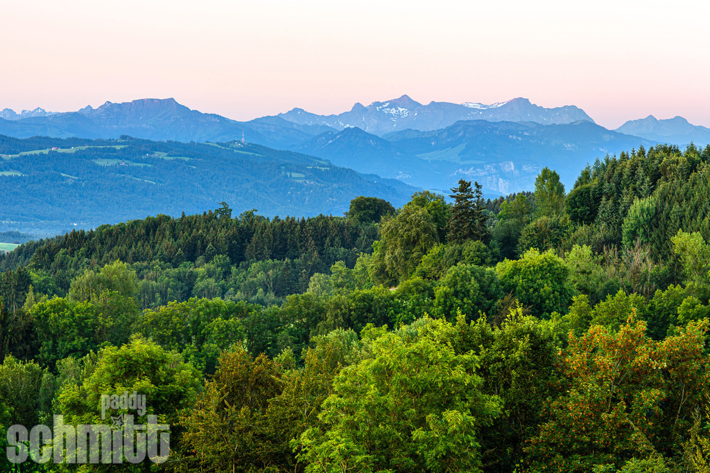 Saftiger Mischwald mit Blick in die Alpen | Saftig grüner Mischwald im Allgäu mit weitem Blick auf die dahinterliegende Alpenkulisse. Eine harmonische Landschaftsaufnahme, die die Verbindung von Wald, Weite und Bergen zeigt. - Realisiert mit Pictrs.com
