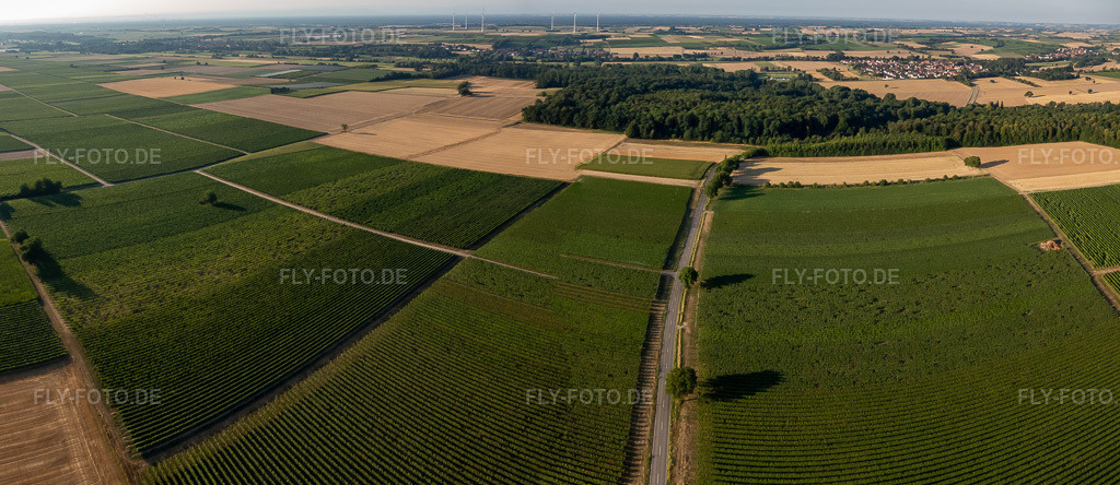 Luftbild: Felder und Weinberge zwischen Barbelroth und Winden in Barbelroth im Bundesland Rheinland-Pfalz in Deutschland. Foto: P7300006-Pano.jpg vom 30.07.2022 durch Werner Riehm/FLY-FOTO.deAuflösung des Originals: 7429 x 3224 px
