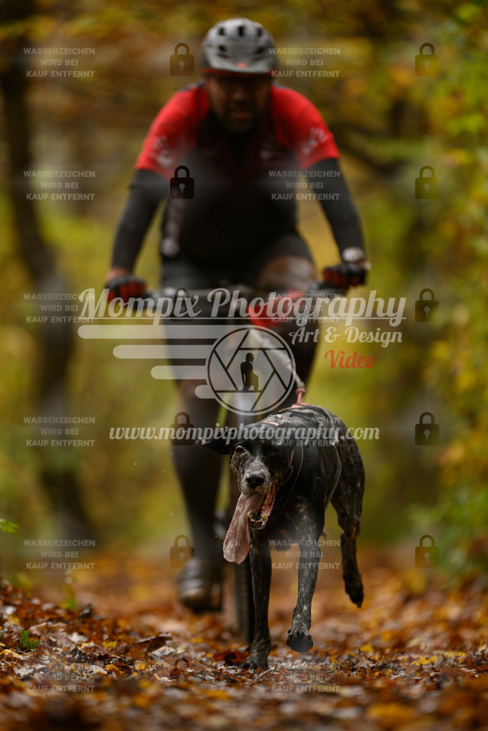 MompixPhotography_CD7S_DI_Bike-12 | mompixphotography