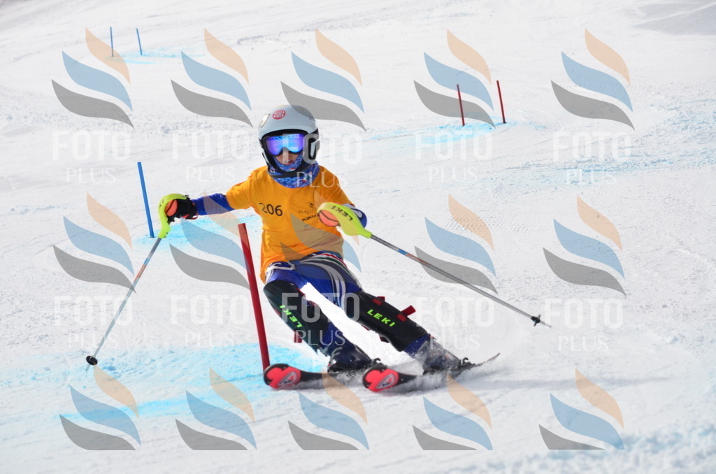 C8152 | holidayphoto