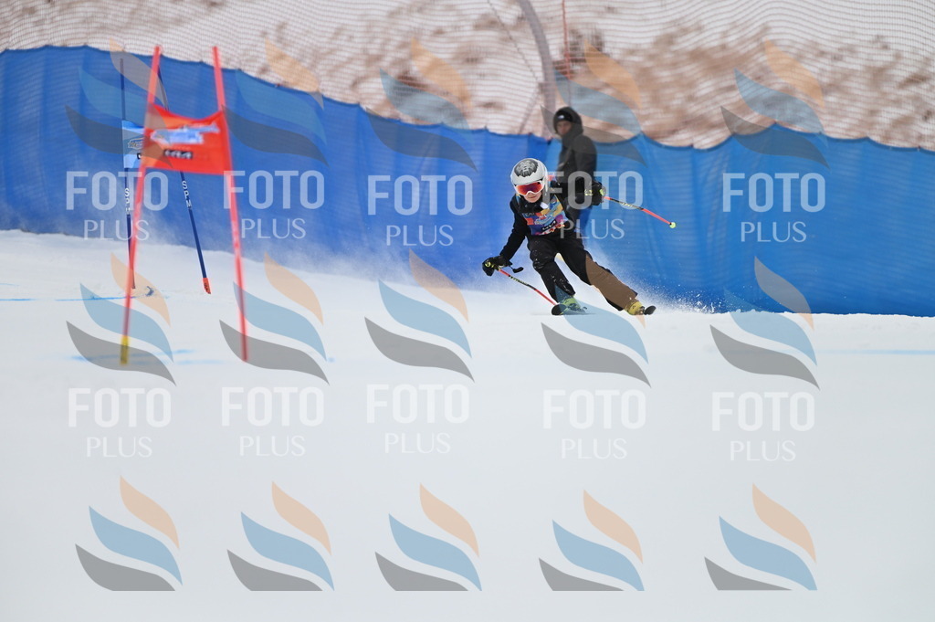 BGV_9627 | holidayphoto