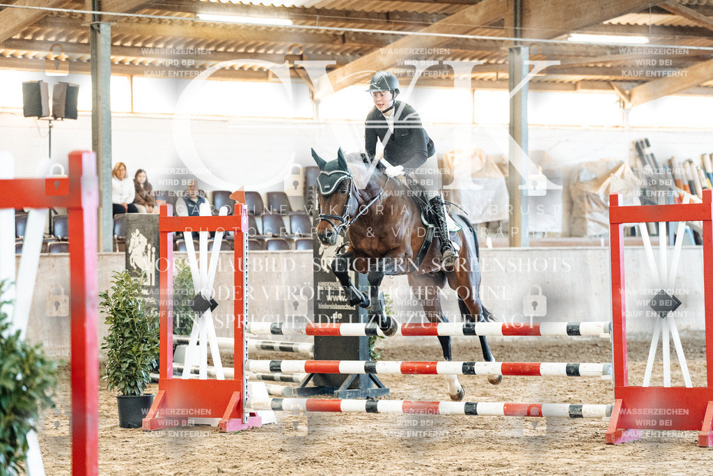 CK904304 | Turnierfotografie Pferdefotografie Trier Rheinland-Pfalz Pferdesport Reitsport Tierfotografie Sportfotografie Pferdevideo Pferdevideografie Equestrianvideography equestrianphotography  - Realisiert mit Pictrs.com