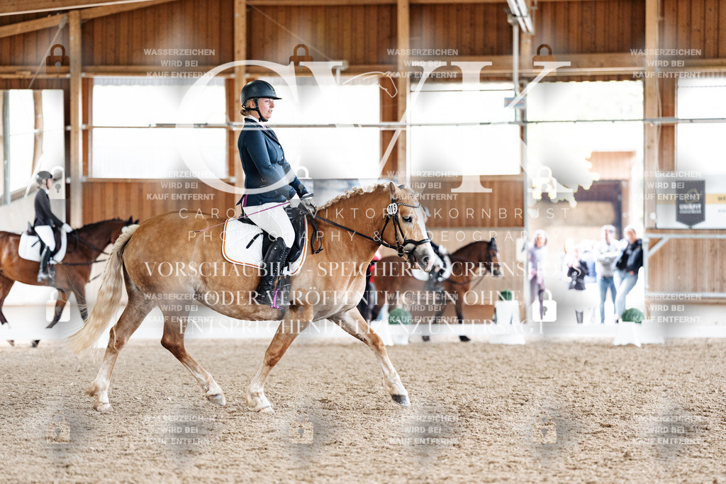CK900622 | Turnierfotografie Pferdefotografie Trier Rheinland-Pfalz Pferdesport Reitsport Tierfotografie Sportfotografie Pferdevideo Pferdevideografie Equestrianvideography equestrianphotography  - Realisiert mit Pictrs.com