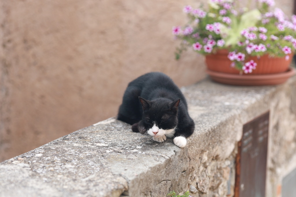 IMG_7070 | strauss_fotografie - Realisiert mit Pictrs.com