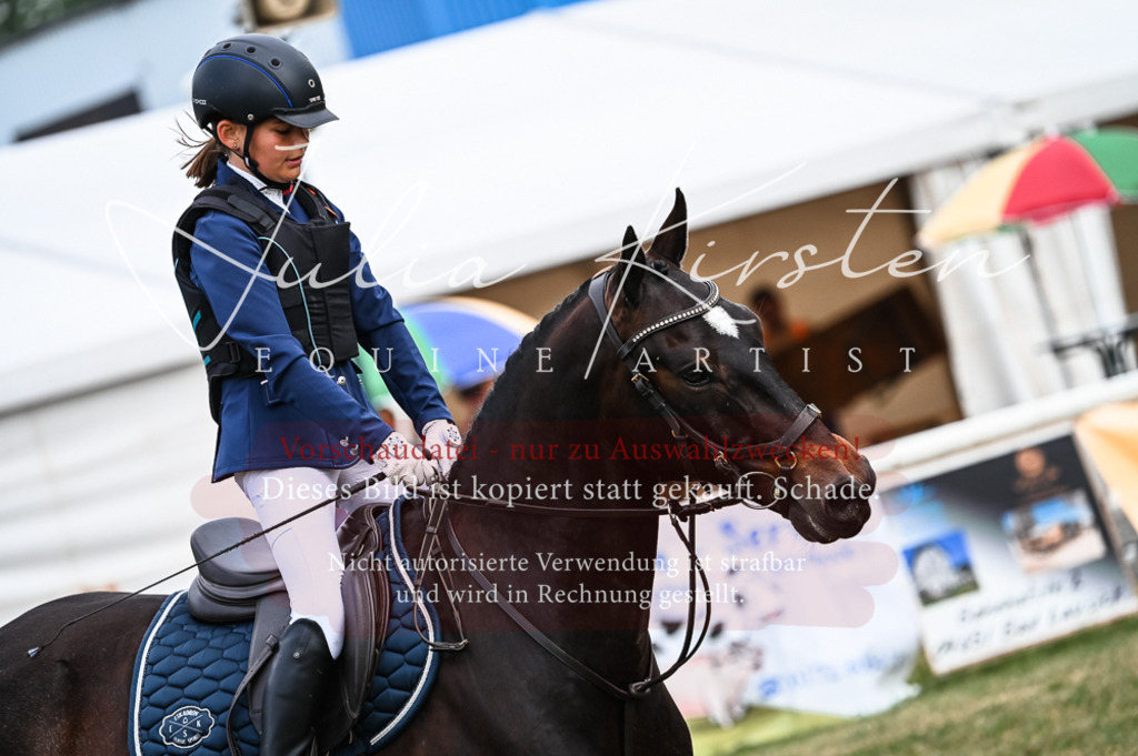 DSC_8242 | Pferde- und Turnierfotografie in Westsachsen. Pferdeportraits, Auftragszeichnungen und intuitive Kunst.
