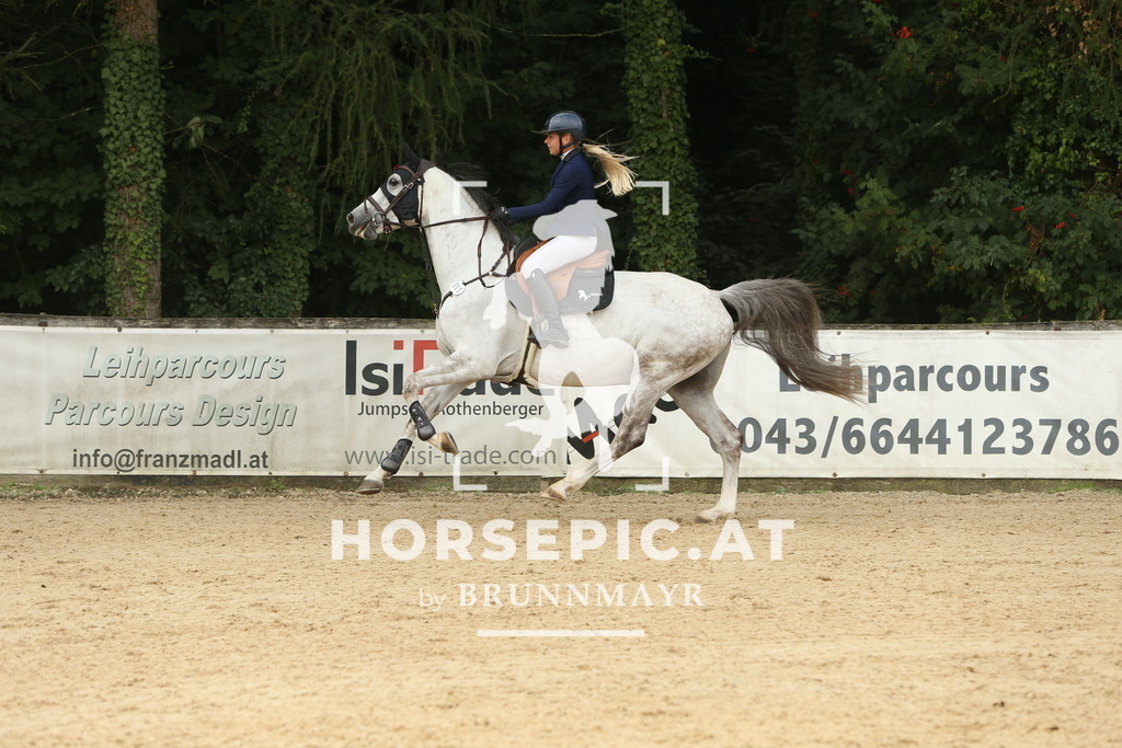 DL2Q6364 | Willkommen bei Brunnmayr - Design & Fotografie – Ihrem Spezialisten für Reitturniere und Pferdeveranstaltungen in Oberösterreich, Salzburg und Bayern! Seit über 17 Jahren sind wir leidenschaftlich dabei.