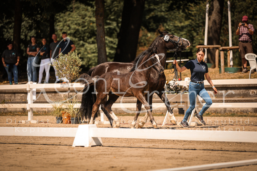 04.DoWP00078 | Leoni Ertmer Photography - Realisiert mit Pictrs.com