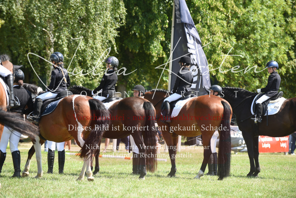 DSC_9819 | Pferde- und Turnierfotografie in Westsachsen. Pferdeportraits, Auftragszeichnungen und intuitive Kunst.