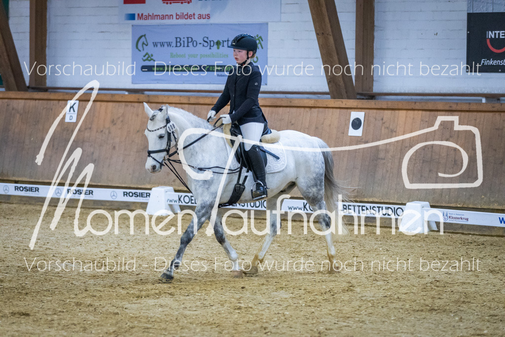 Sth-WBO25-DrR-096 | MomenTaufnahmen Pferdesportfotos