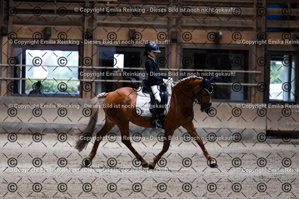 CL5A3793 | Emilia Reinking Fotografie - Realisiert mit Pictrs.com