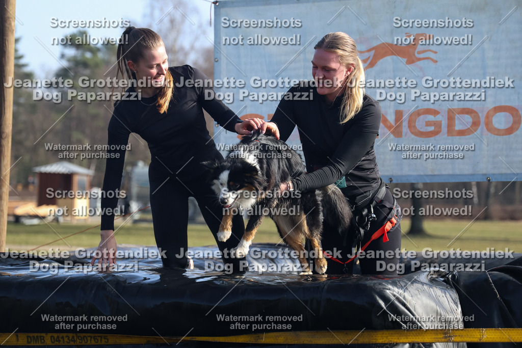 Dog Paparazzi - Strongdog North Mrz26-1312 | Dog Paparazzi Jeanette Grottendiek Fotografie & Videografie - Realisiert mit Pictrs.com