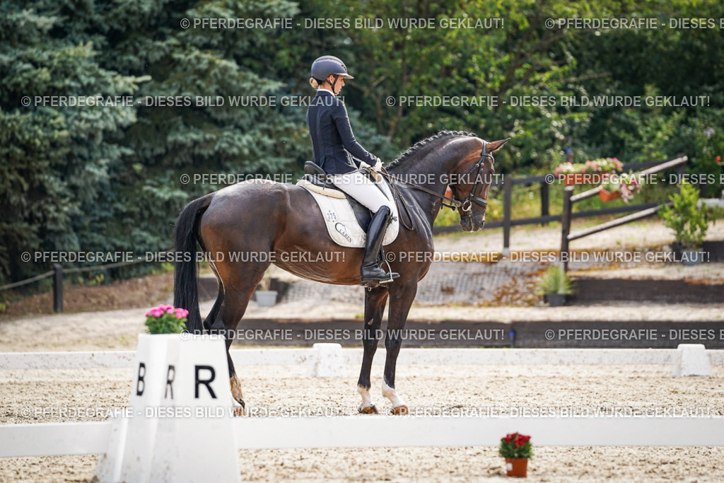 DSC07667 | Pferdegrafie