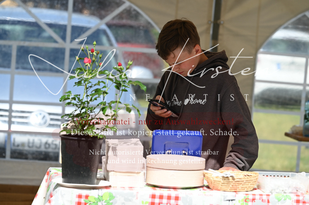 DSC_8640 | Pferde- und Turnierfotografie in Westsachsen. Pferdeportraits, Auftragszeichnungen und intuitive Kunst.