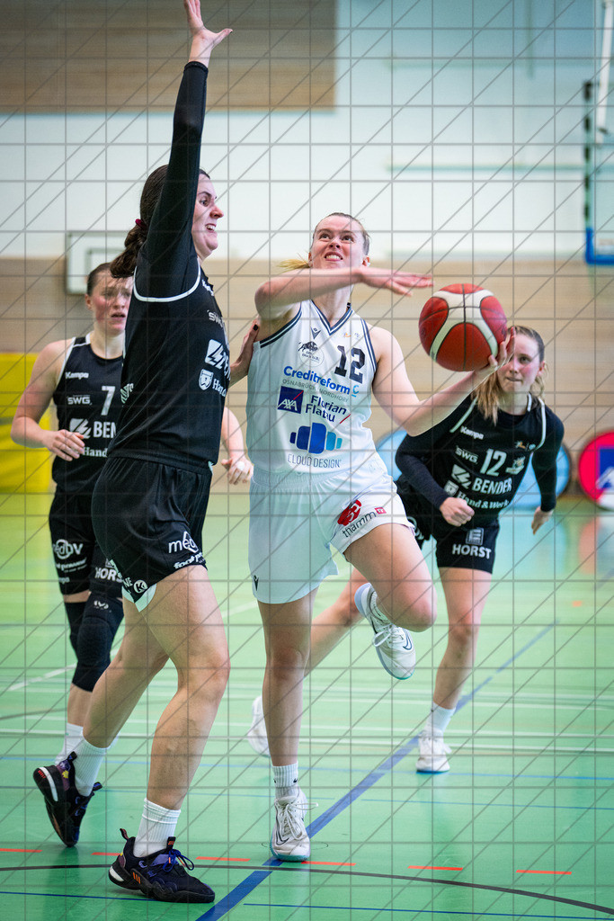 2. DBBL Nord 25/26 | Spieltag 25 | BBC Osnabrück vs. Bender Baskets Grünberg | 04.04.26: 2. DBBL Nord 25/26 | Spieltag 25 | BBC Osnabrück vs. Bender Baskets Grünberg / Osnabrück / Deutschland  //   CREDIT:www.bullenfotos.de, Martin König, Hörner Weg 40, D-49078 Osnabrück, +4917663732967 // Nutzung und Weitergabe nur zu den vereinbarten Zwecken. Presseanfragen an Ersteller. Alle Rechte beim Ersteller. Honorierung nach MFM. - Realisiert mit Pictrs.com