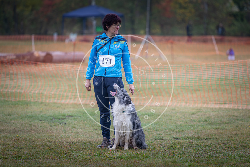 Pfotenfotografie_DV3A9153 | Hundefotografie, Tierfotograf, Pfotenfotografie, Fotoshooting Hund, Hunde Portrait, Hundesport, Hundeportraits, Heideshooting, Hunde, Sportfotograf, Hundefotograf, Turnierhundsport, THS,  - Realisiert mit Pictrs.com