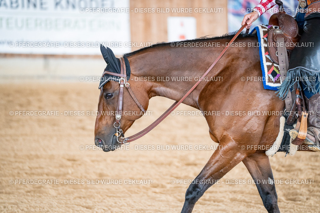 DSC08776 | Pferdegrafie