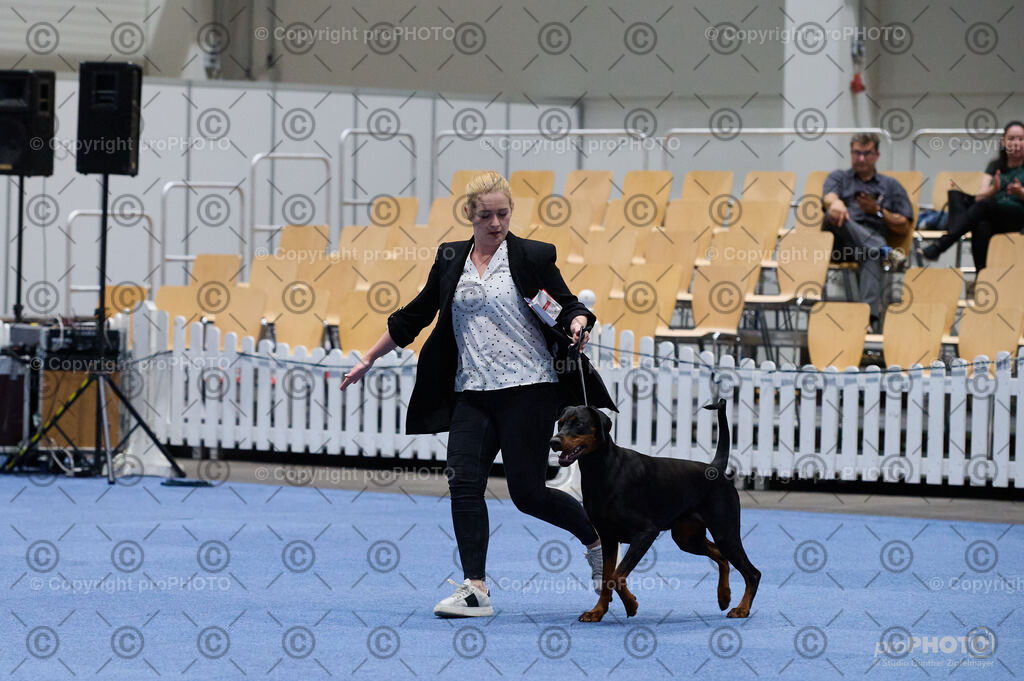 202406_ÖKV-IHA-Tulln24_DSC_3322 | proPHOTO - Realisiert mit Pictrs.com