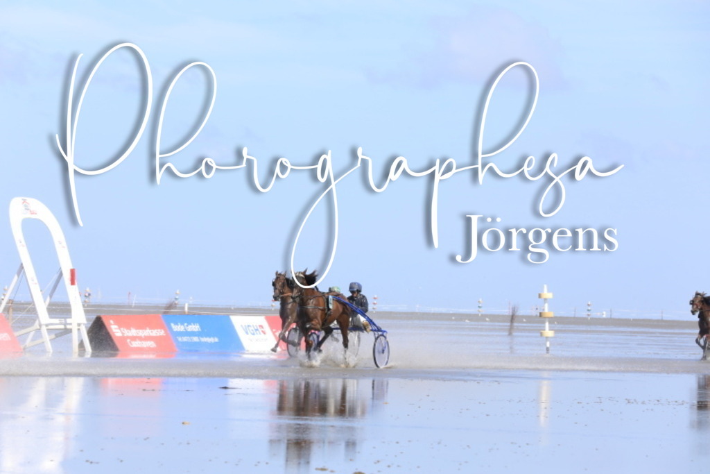 IMG_9135 | photographesa-joergens - Realisiert mit Pictrs.com