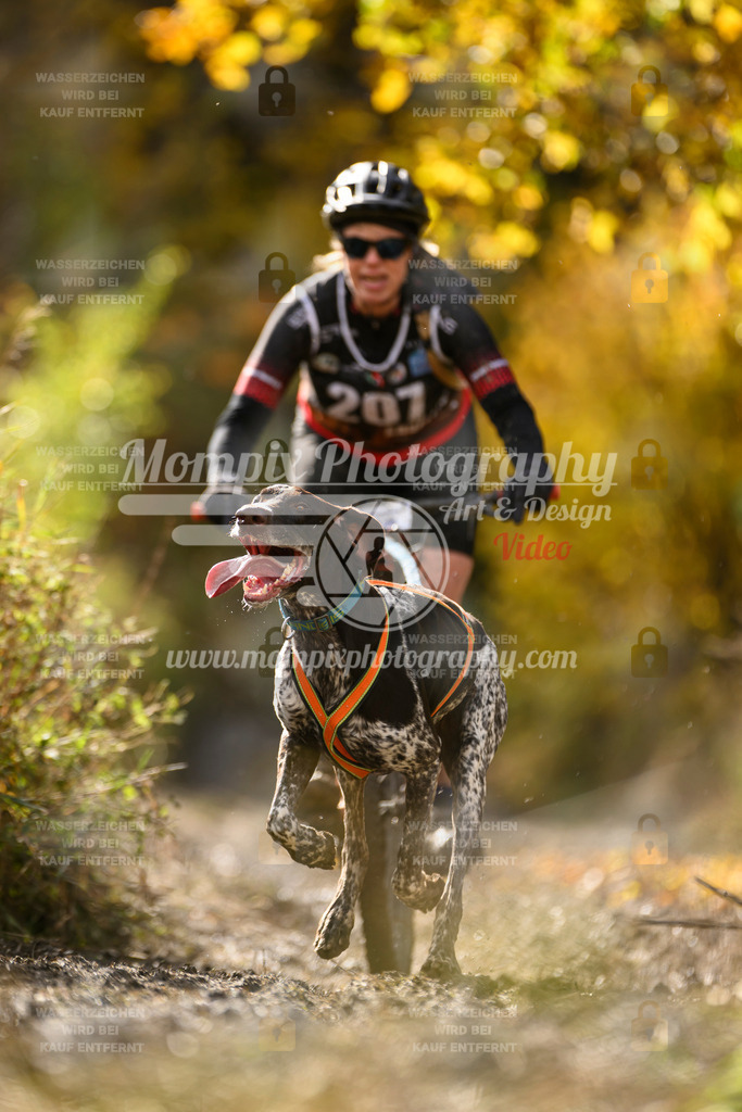 MompixPhotography_ICF_WC_2024_SA_Bike_-335 | PayLife