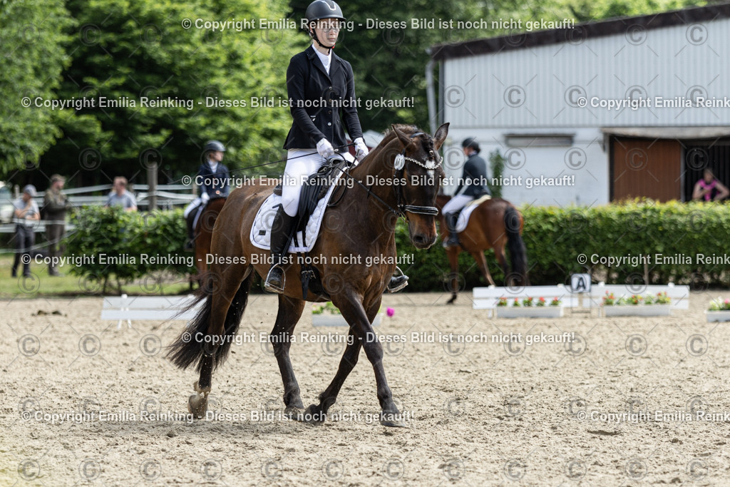 CL5A8185 | Emilia Reinking Fotografie - Realisiert mit Pictrs.com