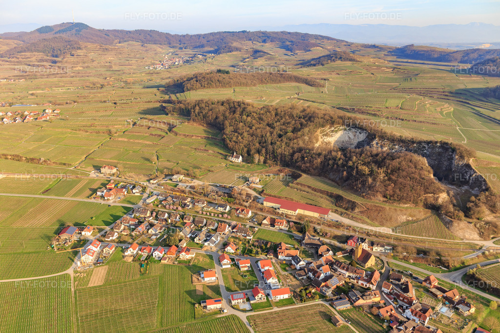 Luftbild: Winzerdorf am Kaiserstuhl aus Nordwesten im Ortsteil Oberrotweil in Vogtsburg im Bundesland Baden-Württemberg in Deutschland.Foto: IMG_113158.jpg vom 22.03.2019 durch Werner Riehm/FLY-FOTO.de