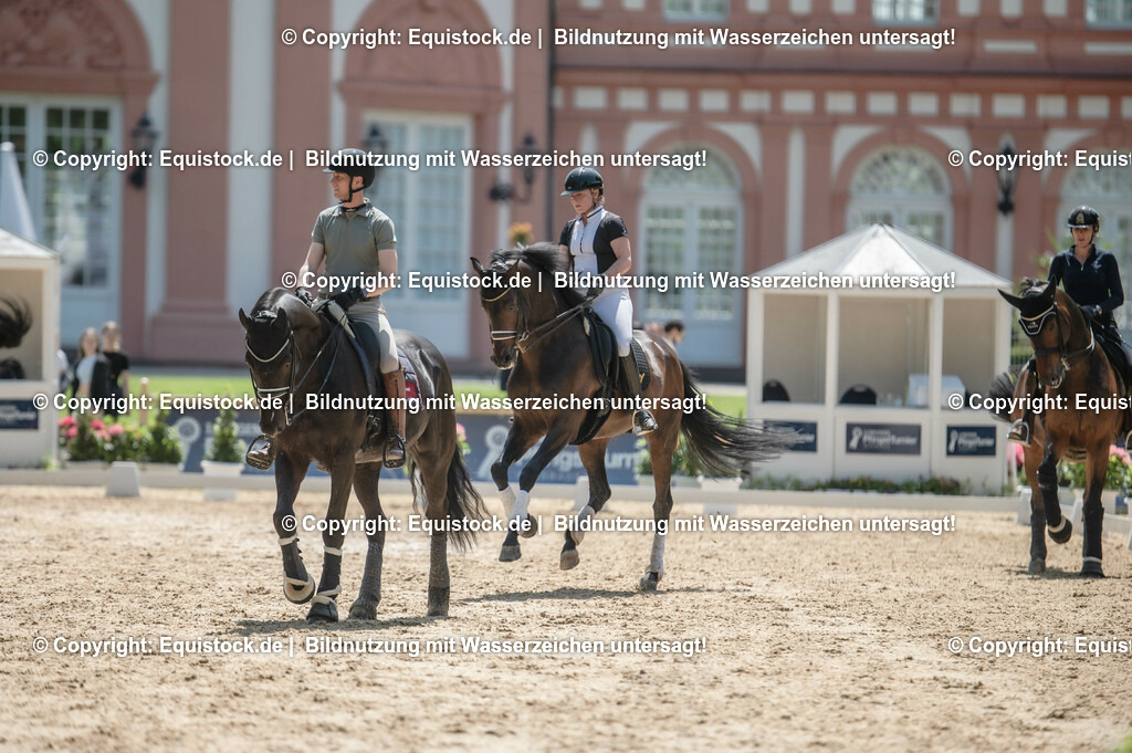 DSC_8037 | equistock
