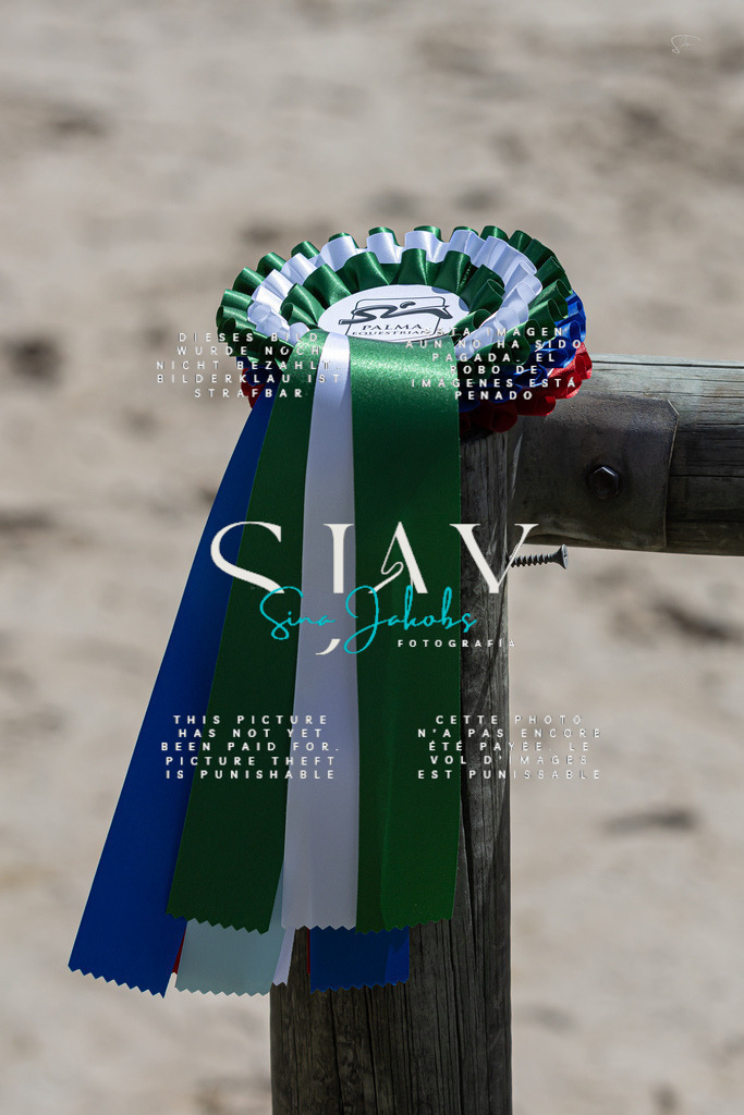 IMG_6835 | s-jay-photography - Realisiert mit Pictrs.com