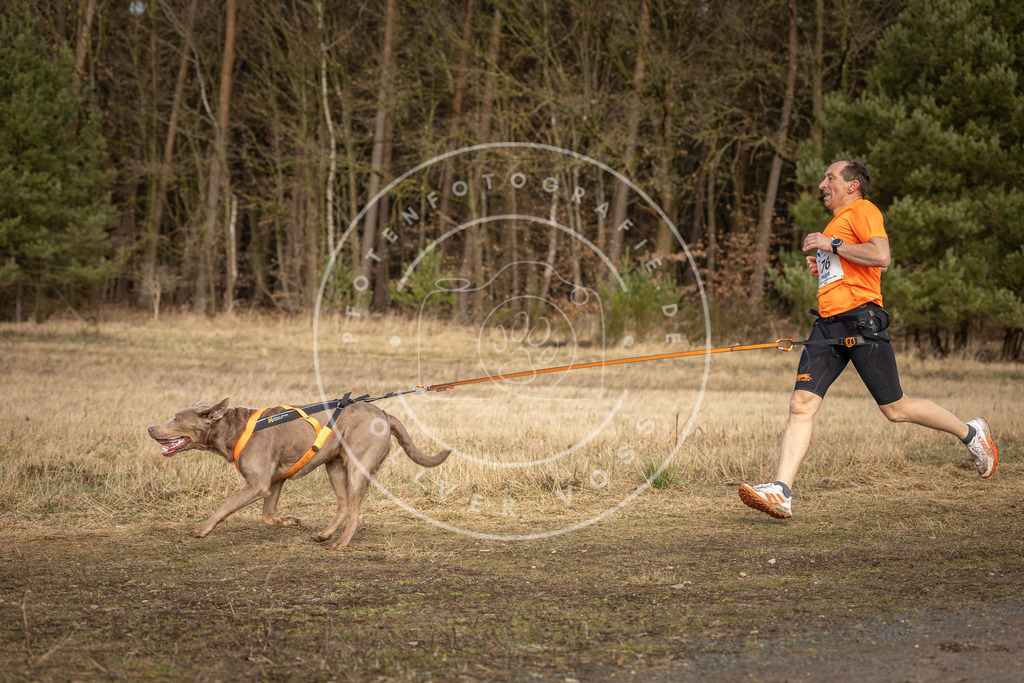 DV3A3797 | Hundefotografie, Tierfotograf, Pfotenfotografie, Fotoshooting Hund, Hunde Portrait, Hundesport, Hundeportraits, Heideshooting, Hunde, Sportfotograf, Hundefotograf, Turnierhundsport, THS,  - Realisiert mit Pictrs.com