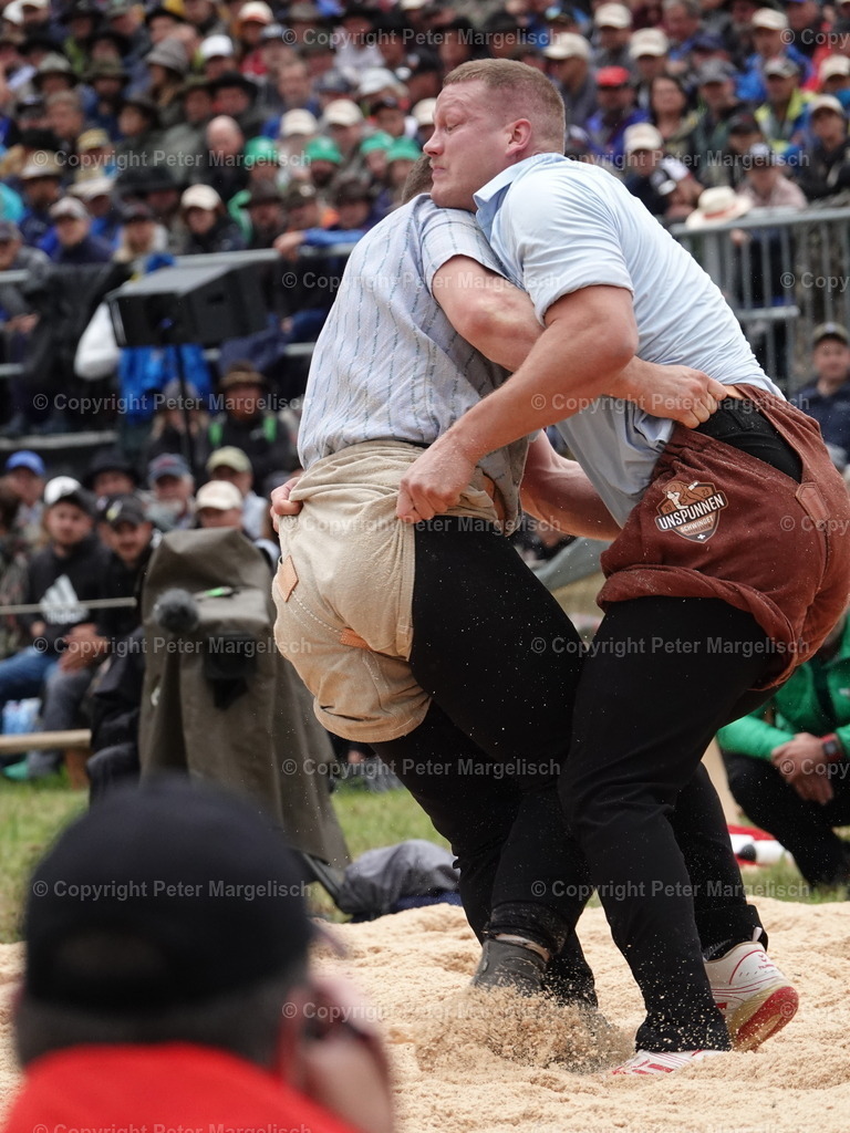 DSC05401 | Schwingen - Realisiert mit Pictrs.com