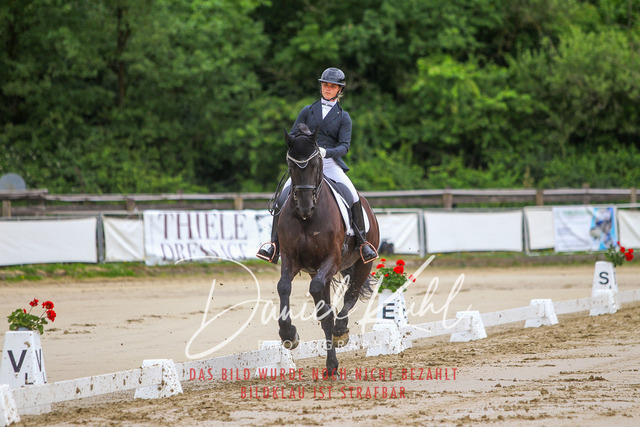 DKP47461 | Turniersportfotografie; Pferdefotografie; Dressurfotografie