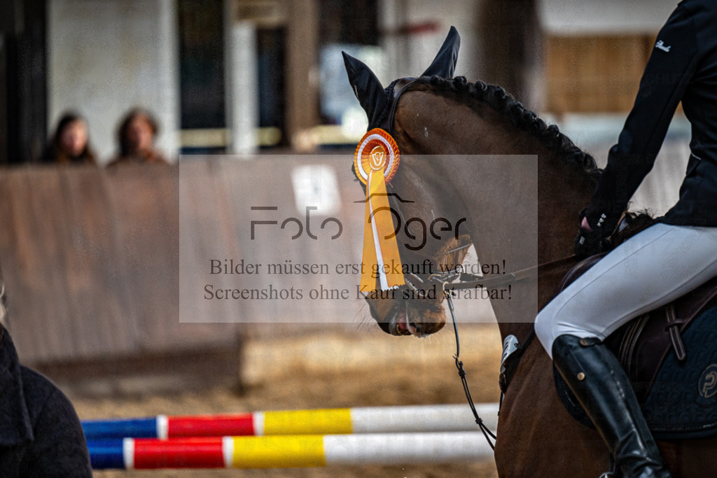 20240309-DOS_5780 | Entdecke hochwertige Reitturnierfotos von Foto Oger. Professionell, emotional und authentisch – jetzt Lieblingsmomente im Shop bestellen.Deutschlandweite Turnierfotografie. - Realisiert mit Pictrs.com