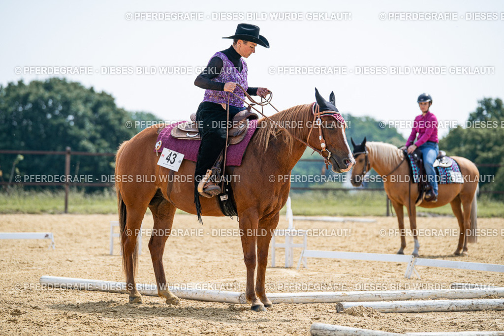 DSC00286 | Pferdegrafie