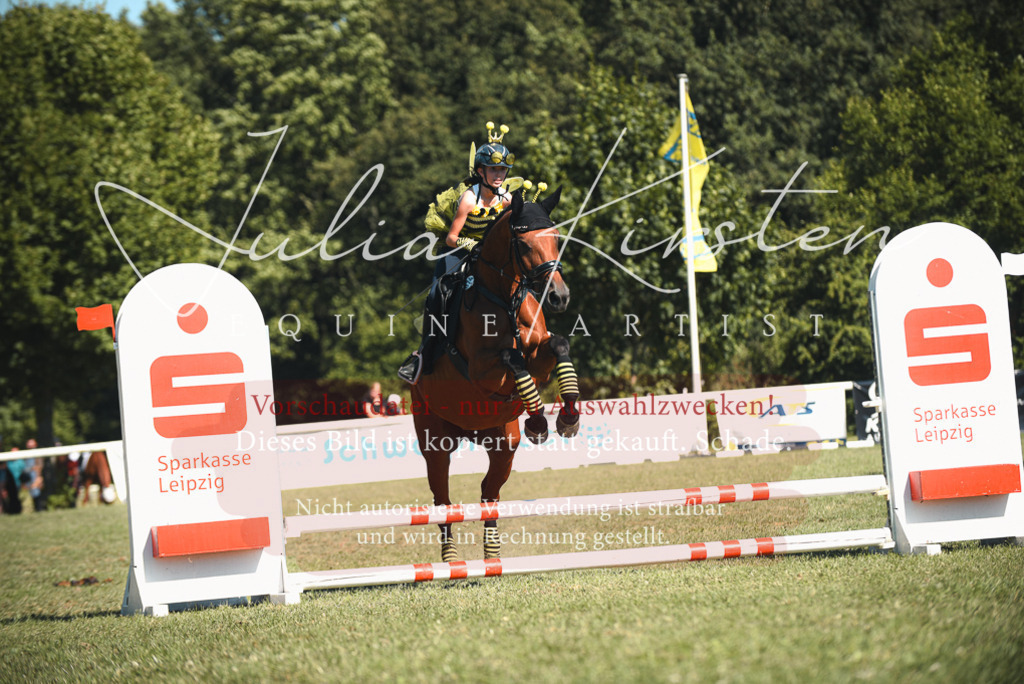 DSC_7488 | Pferde- und Turnierfotografie in Westsachsen. Pferdeportraits, Auftragszeichnungen und intuitive Kunst.