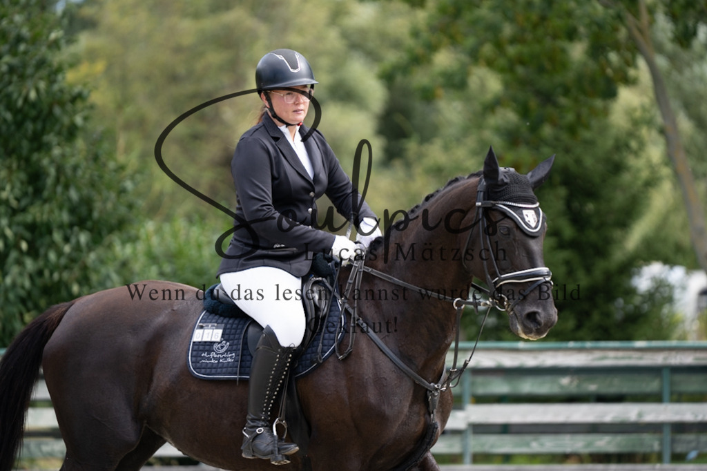 A7V07103 | Pferdefotograf