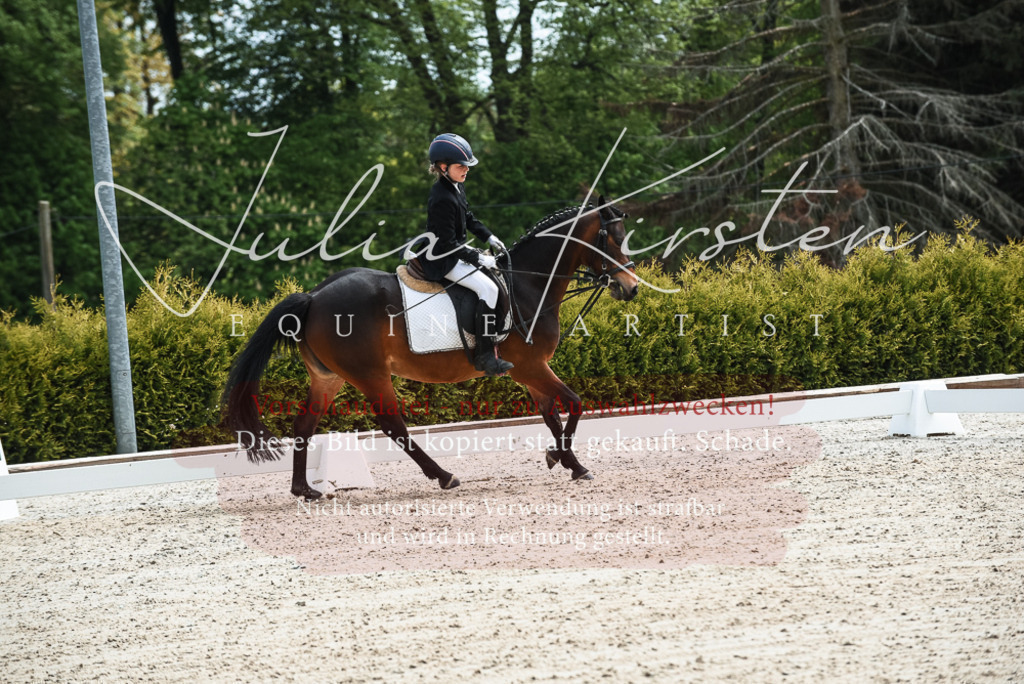 20230518_JK-Röhrsdorf-11-0163 | Pferde- und Turnierfotografie in Westsachsen. Pferdeportraits, Auftragszeichnungen und intuitive Kunst.