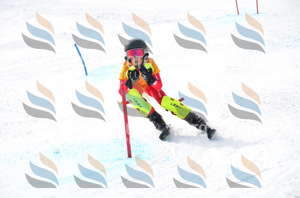 C8342 | holidayphoto