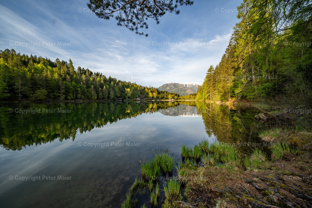 Tristachersee_Frühling-118 | piet_flosse