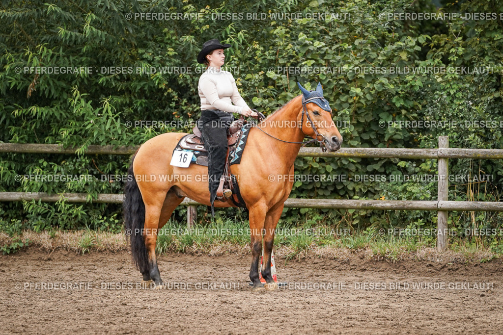 DSC04888 | Pferdegrafie