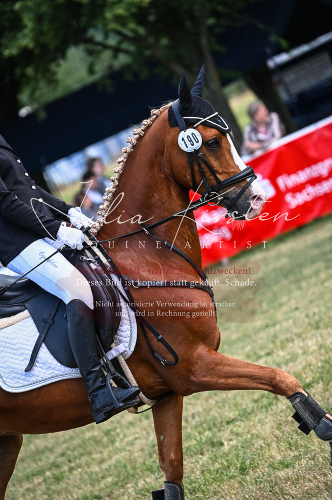 DSC_8074 | Pferde- und Turnierfotografie in Westsachsen. Pferdeportraits, Auftragszeichnungen und intuitive Kunst.