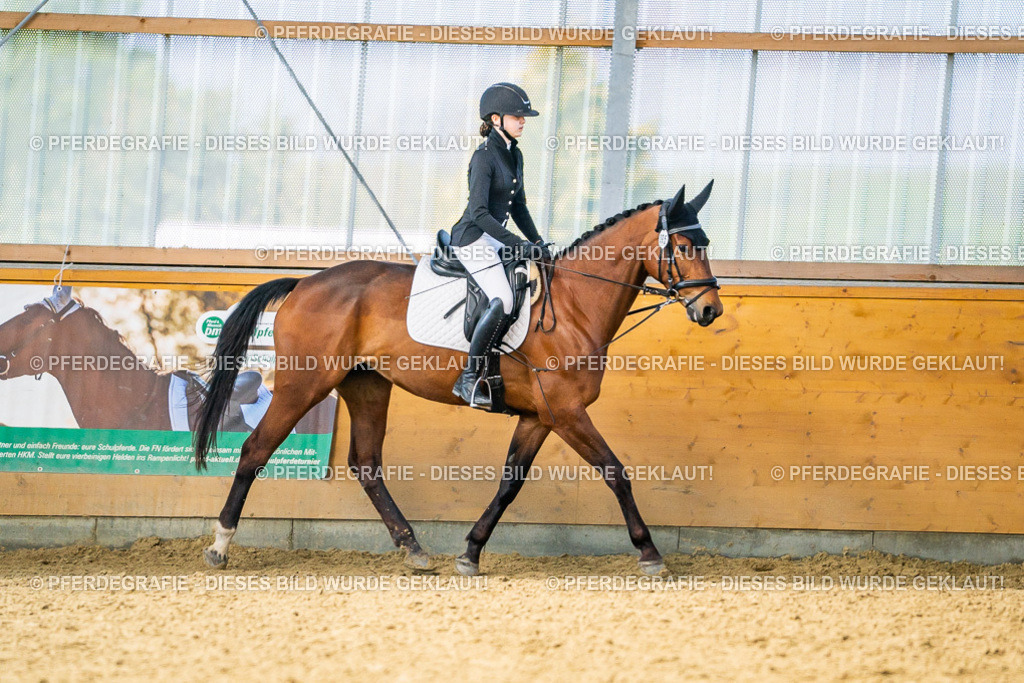 DSC03552 | Pferdegrafie