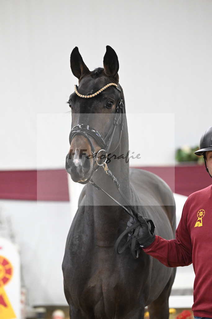 Kat-Nr. 73 Cornets Balou x For Pleasure_Michael Eichler_47252627 | hf-fotografie - Realisiert mit Pictrs.com