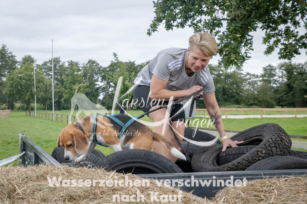 _ZZ91983 | kk-dogfotos